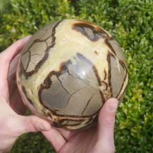 Fraaie septarie bol XL aanzicht - 2