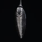Orthoceras hanger, een gefossiliseerd pre-historisch inktvosje