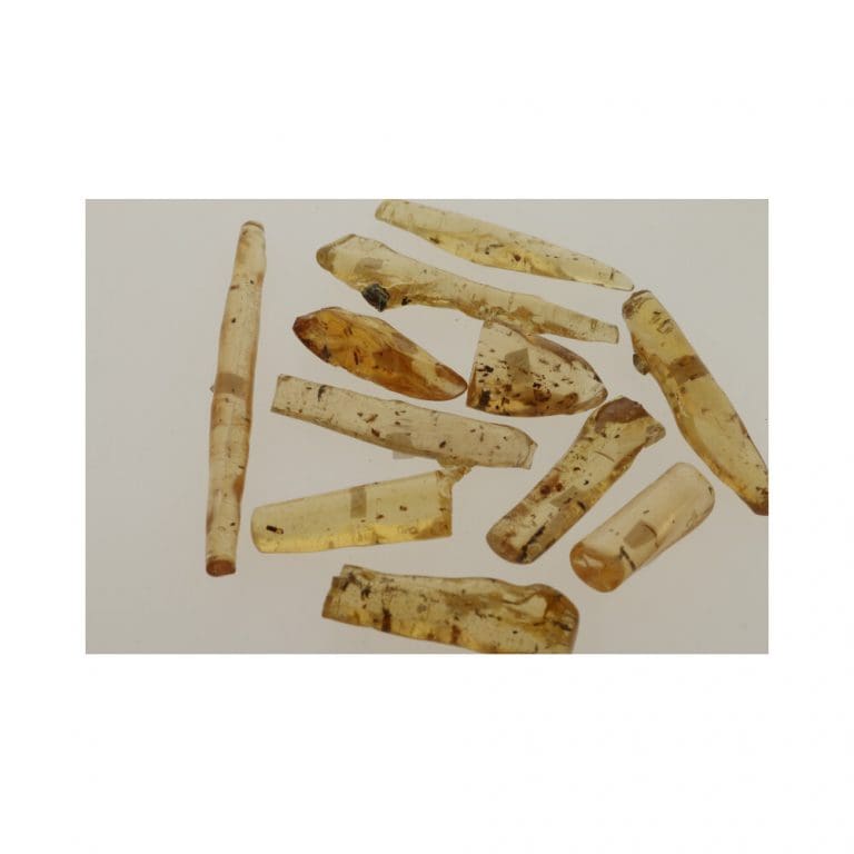 kopal mooie warme honing achtige kleur met insluitsels en kleine insecten