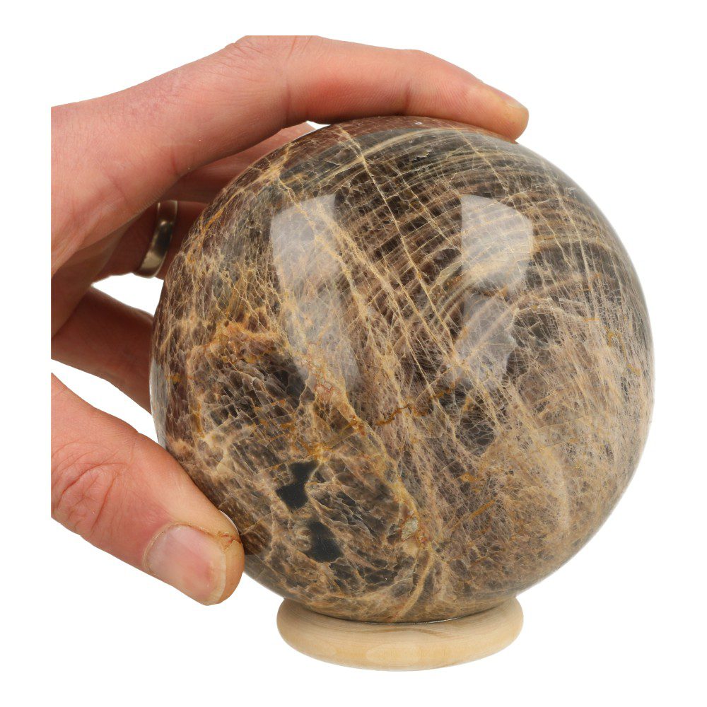 Flinke zwarte maansteen bol van ruim 10,5cm diameter op houten ring en met mooie glans.