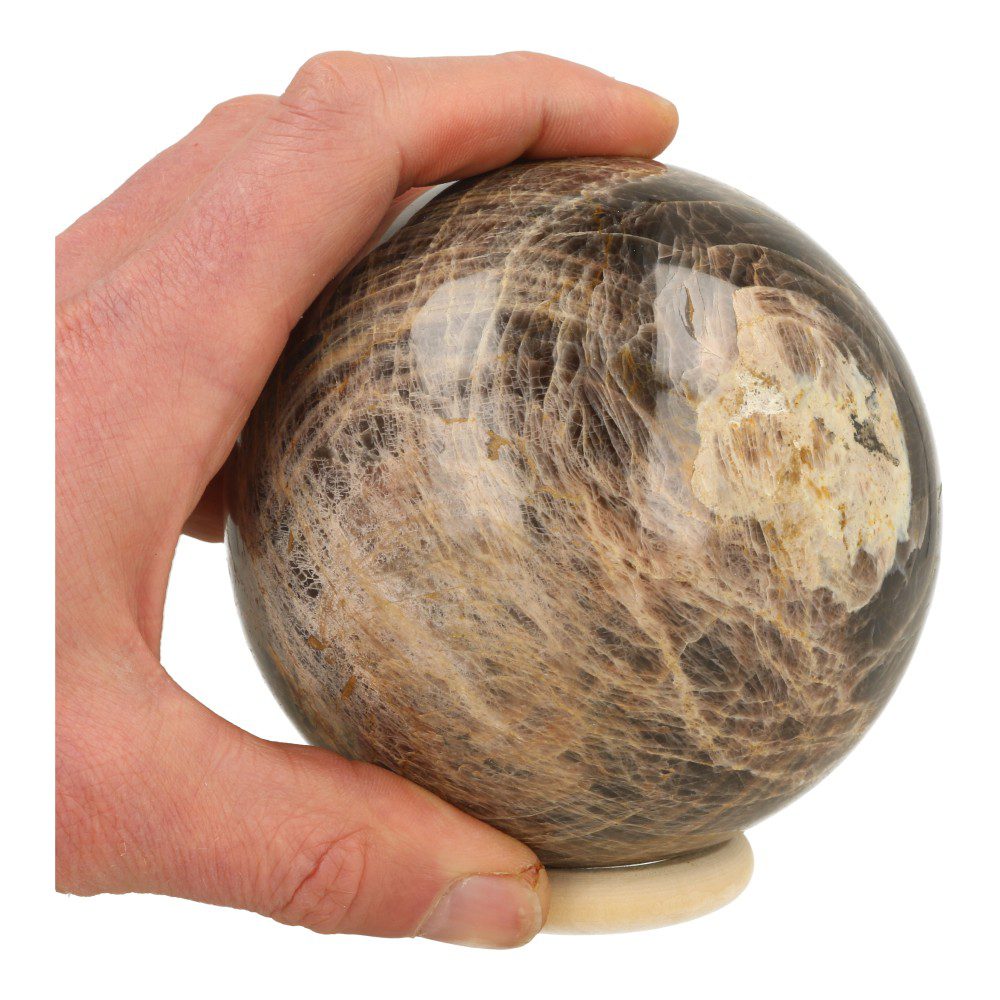 Flinke zwarte maansteen bol van ruim 10,5cm diameter op houten ring en met mooie glans, in hand voor de grootte