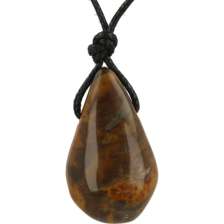 Versteend hout hanger doorboord met zwart koord