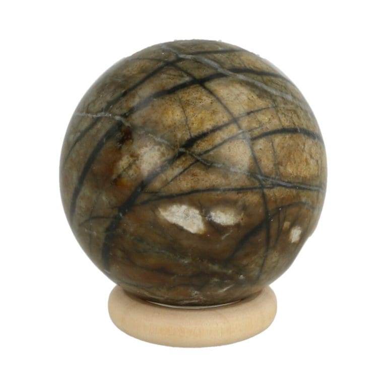 Versteend hout bol met diameter van 30mm