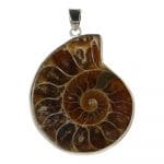 Ammoniet hanger met oogje