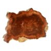 Versteend hout schijf van 8cm