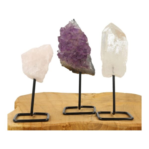 Mineralen op standaard