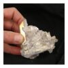 Fraaie aqua aura cluster