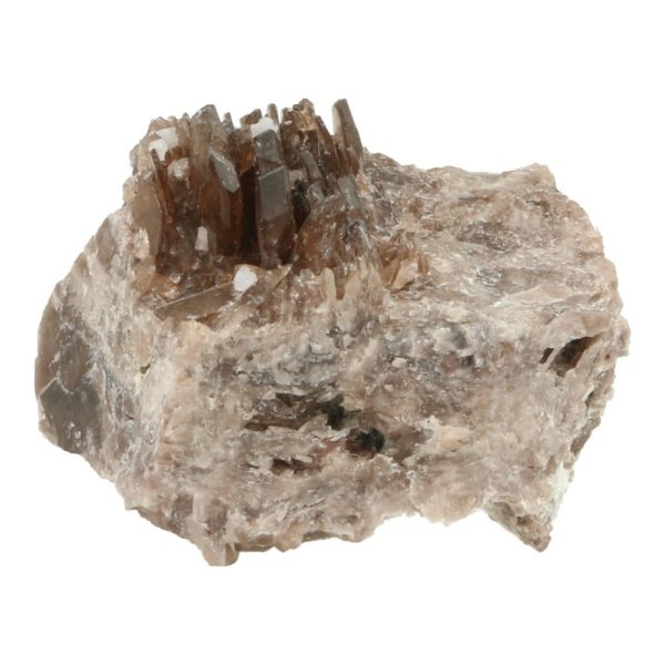 Axiniet