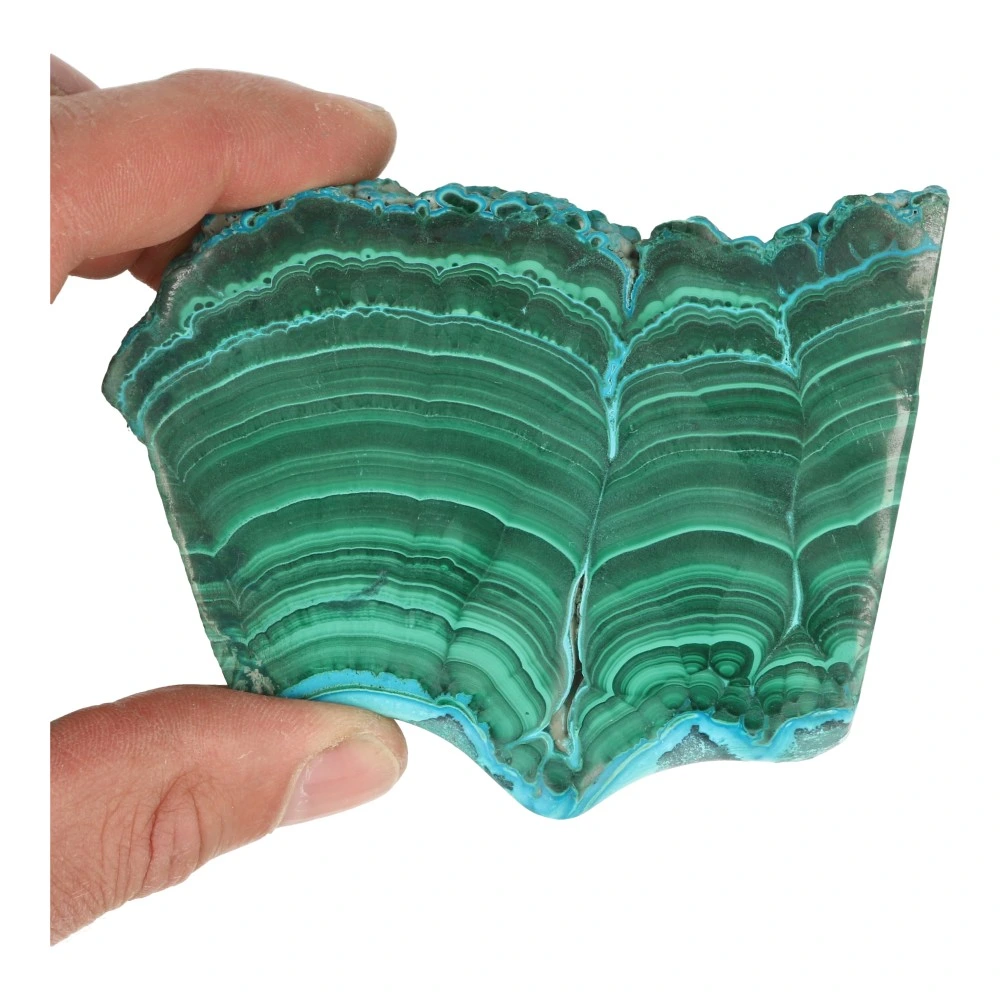 Fraaie malachiet schijf 'nr3' van 1cm dik met mooie tekening en 10cm lang - in hand