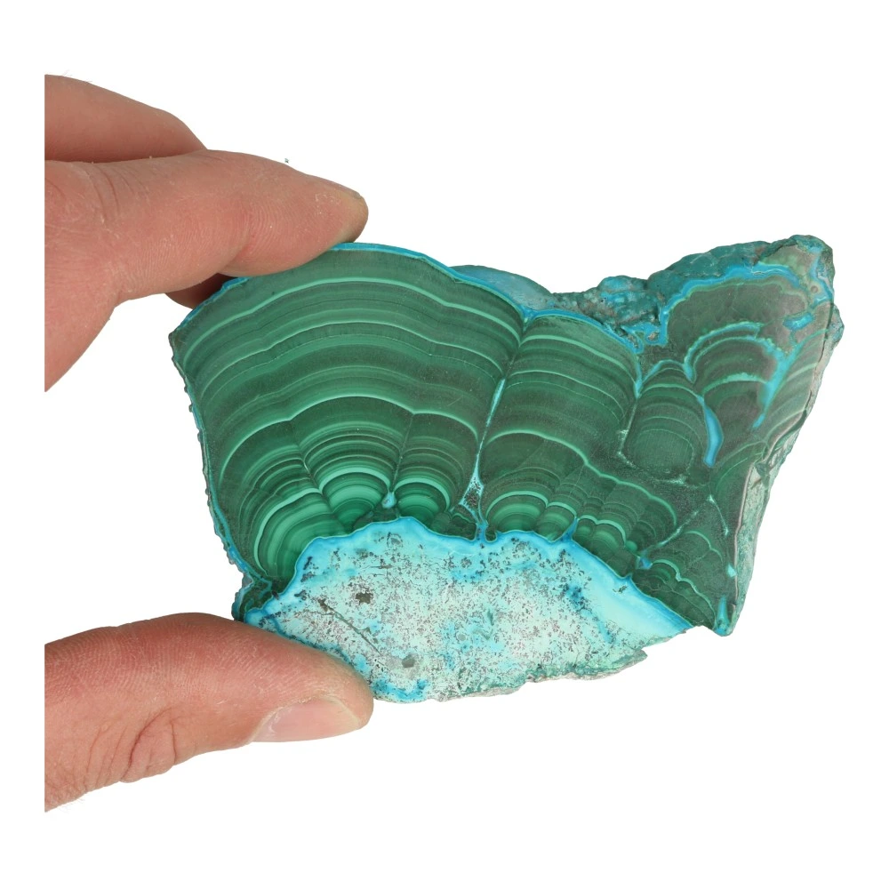 Mooi getekende malachiet schijf 'nr5' met chrysocolla en 10 x 7cm - in hand