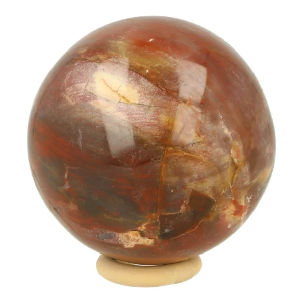 Mooi getekende versteend hout bol van 67mm diameter