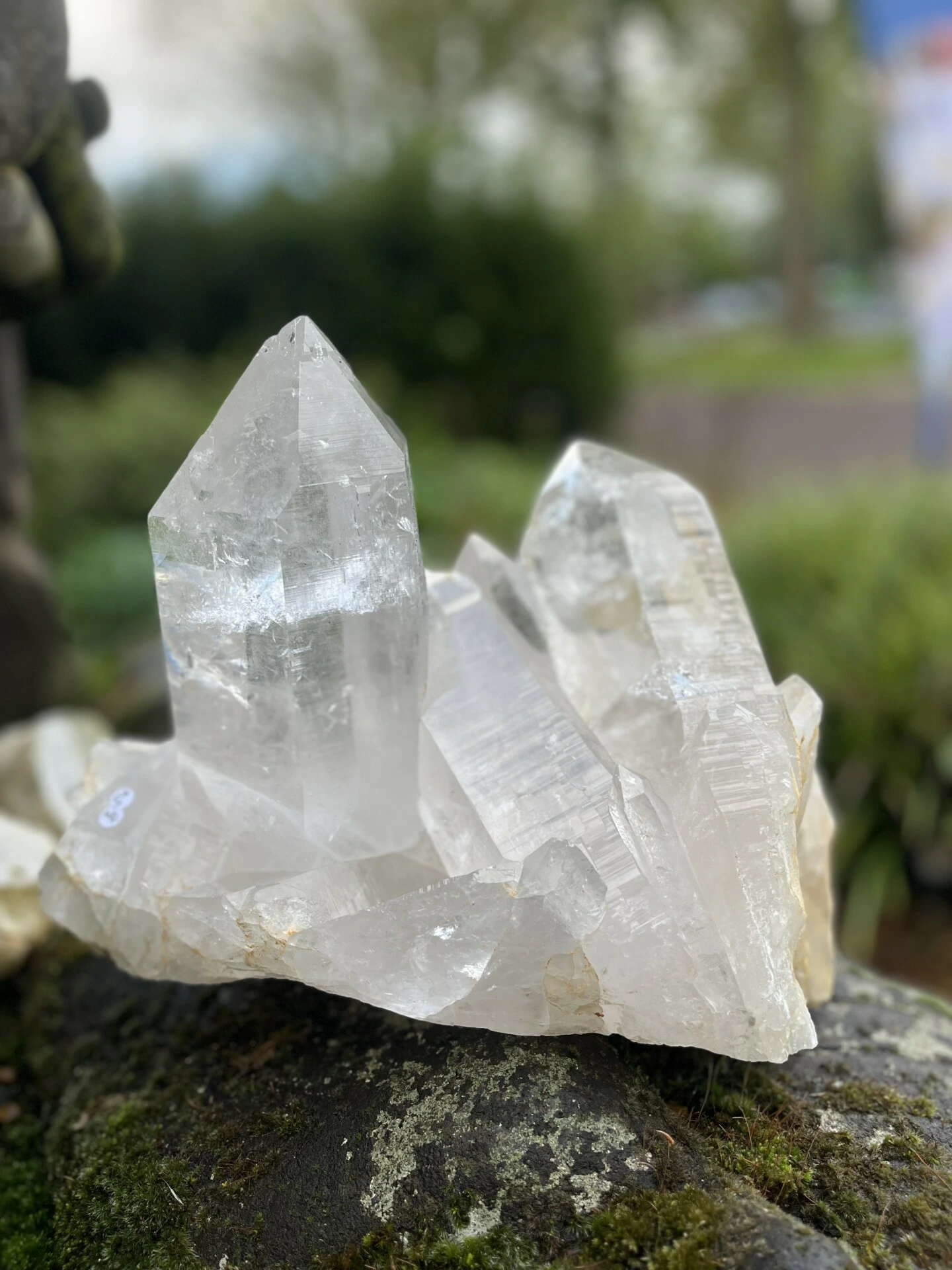 Uniek bergkristal cluster XXL