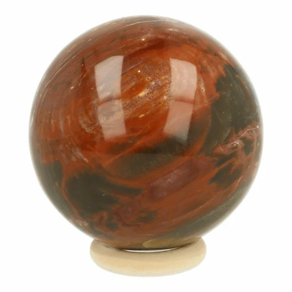 Fijne versteend hout bol met diameter van 58mm op houten ring