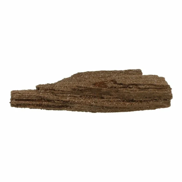 Fraai stukje versteende sequoia nr4