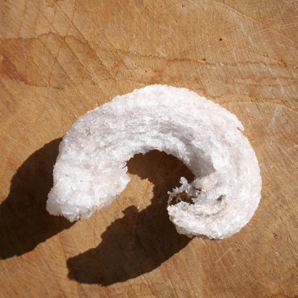 Fraai gevormd ramshoorn seleniet kristal ruw nr10 van 5,5cm lang