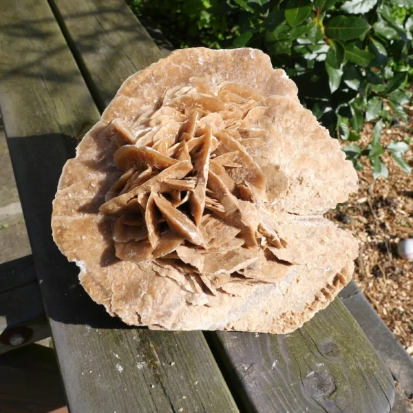 Fraaie grote woestijnroos (nr.4) uit Tunesië en 3,7kg zwaar
